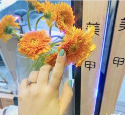 -RL Nail·瑞丽美甲美睫品牌原创店