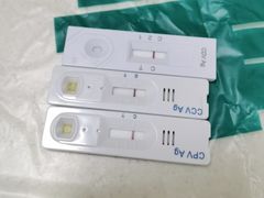 -瑞派宠物医院·24h·骨外科·皮肤科·全科宠物医疗转诊中心(沈阳浑南院)