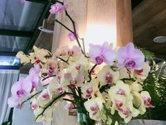 -春暖花开(西溪店)