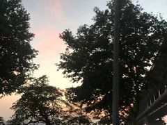 -武昌江滩