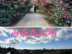 -七星路步行街