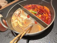 -大龙燚·旷野鲜火锅(广州首店)