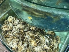-沿海渔家院海鲜烧烤·东北菜(东戴河店)