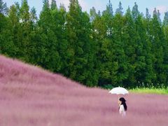-嘉北郊野公园