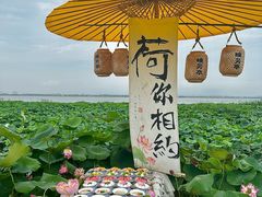 -七的湖·晚芳亭·阳澄湖农家菜·大闸蟹(莲花岛店)