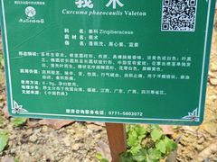-广西壮族自治区药用植物园