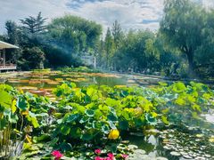 -国家植物园南园