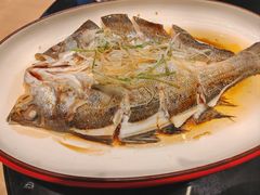 -鲁菜根·泰山菜(泰山店)