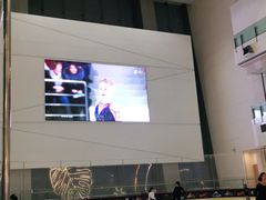 -冰纷万象滑冰场(二七万象城店)