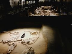 -洛阳周王城天子驾六博物馆