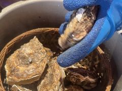-蚝堡海鲜·威海菜·海肠捞饭·烧烤·亚洲吃蚝公司(幸福门店)