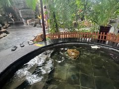 -东方华地城湿地温泉度假区
