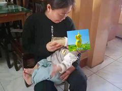 -爱月宝月嫂·育儿嫂