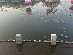 -映月湖公园