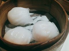 -纽斯特牛排自助餐厅(浦东文峰广场店)