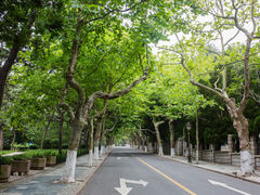 -八大关景区