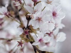 -龙美术馆西岸馆-停车场