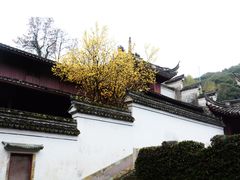-宁波市保国寺古建筑博物馆