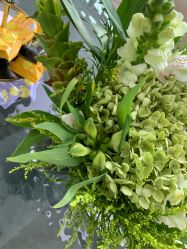 -HEYAN荷妍专业脱毛连锁机构