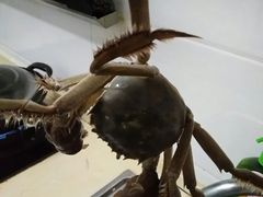 -胖哥俩肉蟹煲(宿迁宝龙广场店)