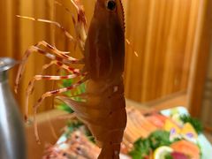 -浪花亭日本料理(古田路店)