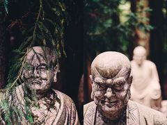 -武陵山森林公园