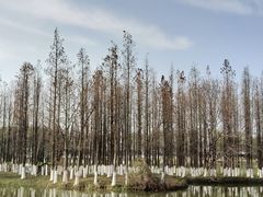 -艾溪湖湿地公园