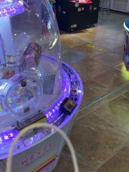 -卡通尼·Safari非洲探索乐园·生日会(金桥国际商业广场店)