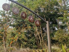 -中国科学院西双版纳热带植物园