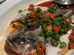 -悦海堂(金融街购物中心店)