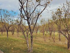 -福建鲤鱼洲酒店
