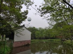 -西溪国家湿地公园