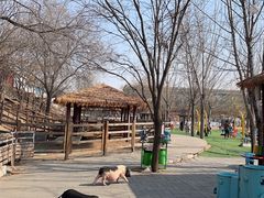 -北京鹿世界主题园