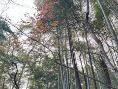 -敬亭山风景名胜区