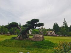 -东平国家森林公园