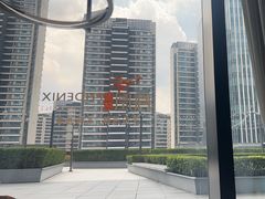 -凤凰湘语(浦东旗舰店)