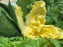 -草原传奇鲜羊火锅(桥北店)