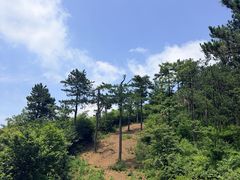 -四明山国家森林公园
