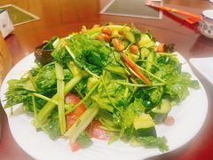 大拌菜-蒙古缘饭店(额尔古纳云杉宾馆店)