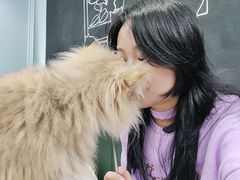 -安格丽娜·狗咖·猫咖羊驼咖(春熙路百盛商场店)