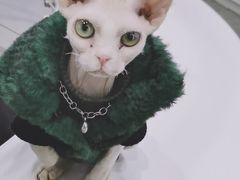 -极木²邸 人与宠物·互动社区