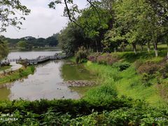 -东莞植物园