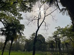 -杭州植物园