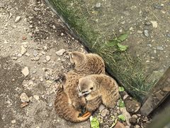 -水上乐园·欢乐世界