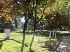 -四川大学(华西校区)