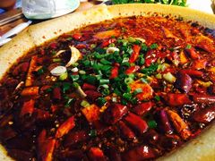 -青城甲(青城山店)