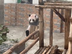 -青岛动物园