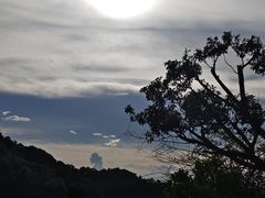 -红花湖景区