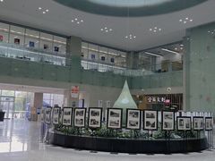 -金陵图书馆