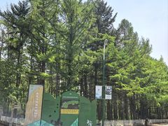 -黑龙江省森林植物园